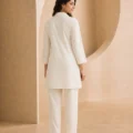 jaipur+embroidery+suit+-+illustrationImage