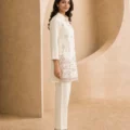 jaipur+embroidery+suit+-+illustrationImage+(2)